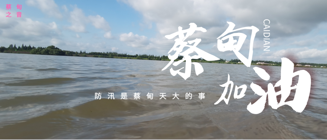 蔡甸區(qū)啟動防汛ⅰ級應(yīng)急響應(yīng)，做好鋪土釘防汛木樁工作