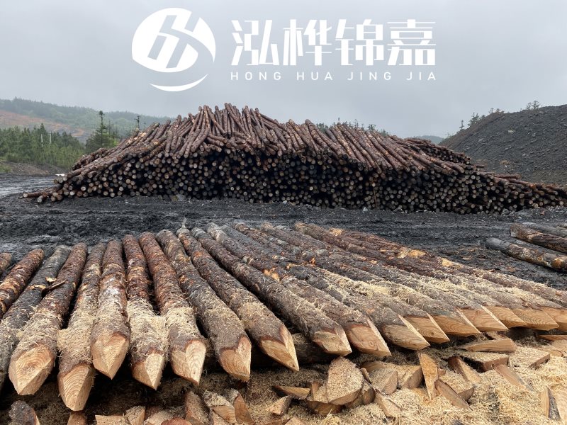 6米長(zhǎng)松木樁有哪些作用，多少錢一根？