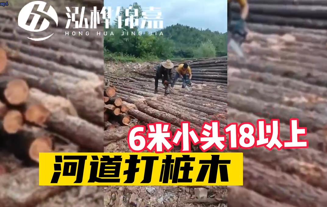 6米小頭河道打樁木廠家發(fā)貨視頻
