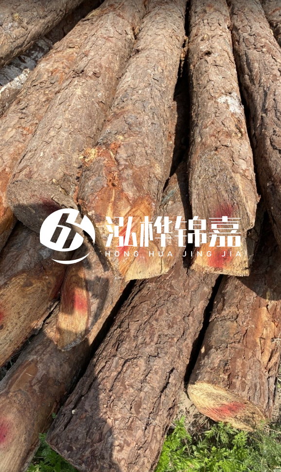 <strong>松木樁和杉木樁的用途區(qū)別？哪個更適合打樁用？</strong>