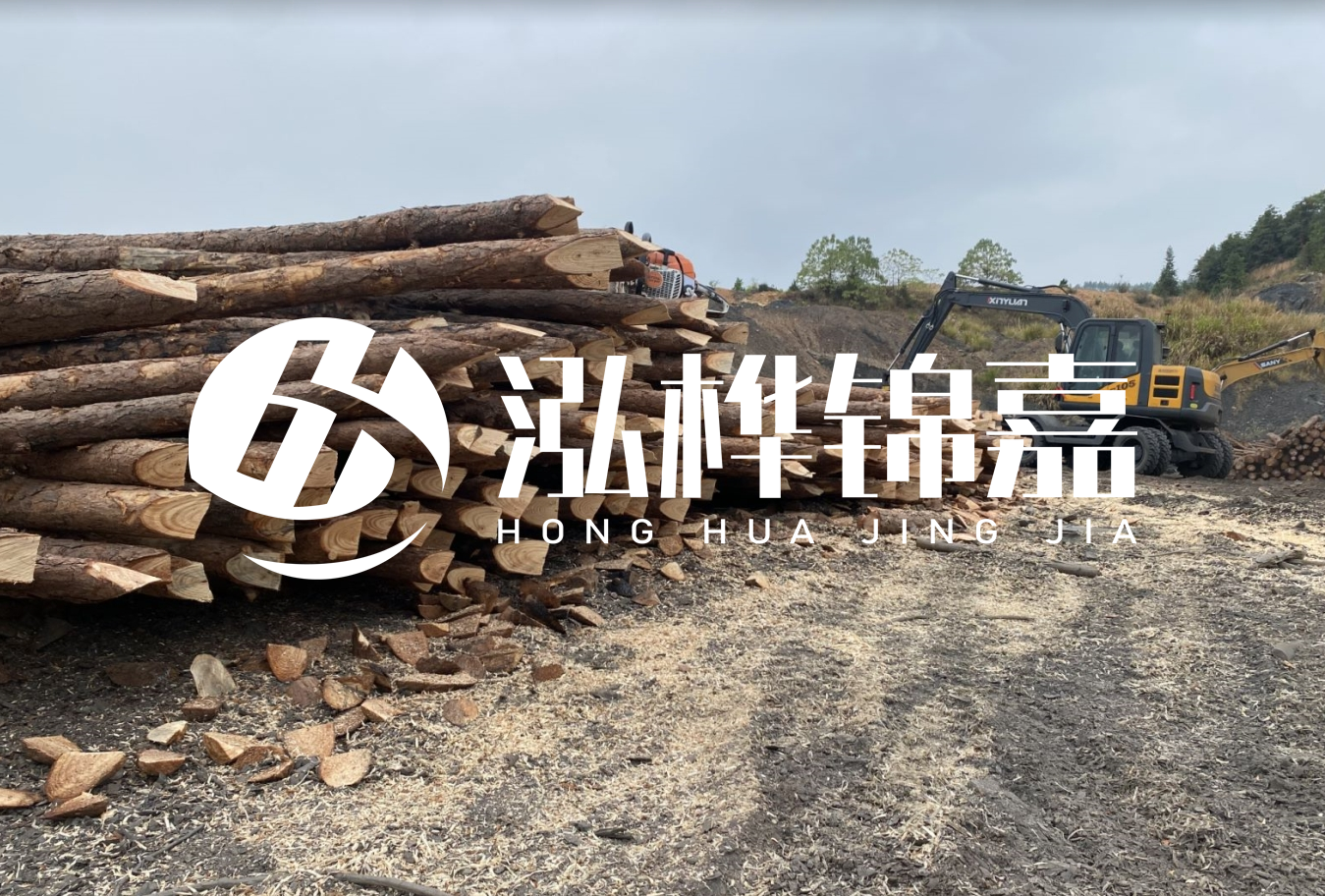 松木樁尾徑是什么意思？