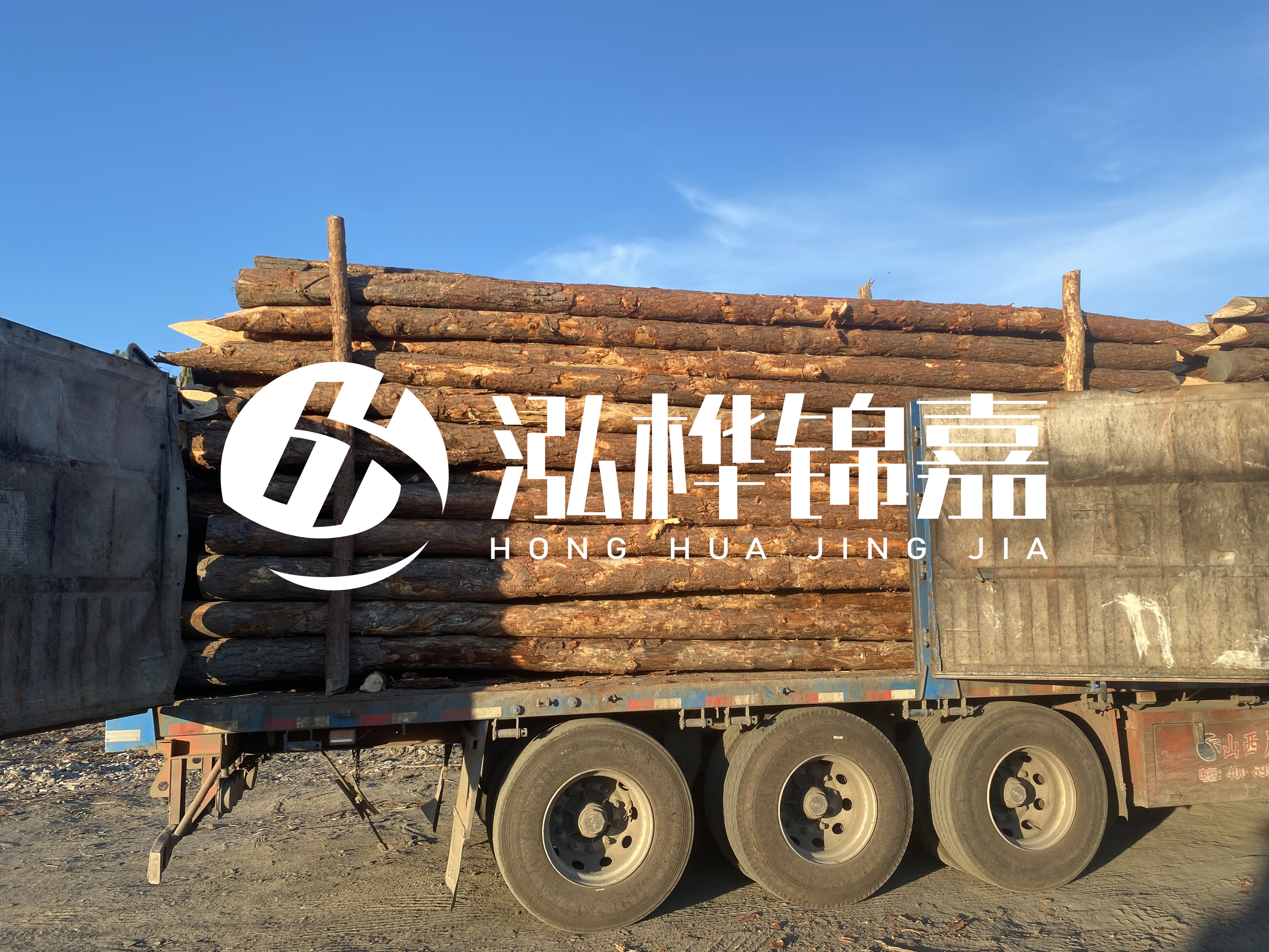 河道治理為什么要用松木樁？