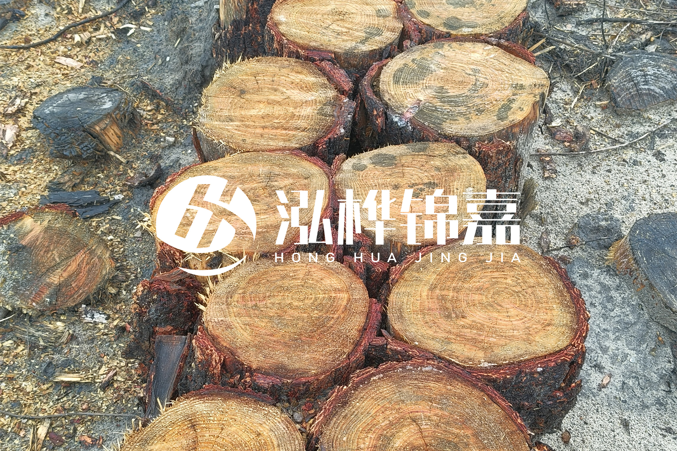 浙江臺州有清淤的公司嗎？浙江臺州有清淤施工隊嗎？