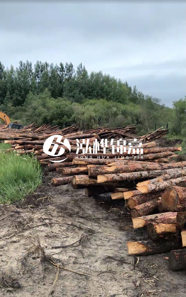 甘肅河道清淤工程公司-為什么要進行河道清淤？