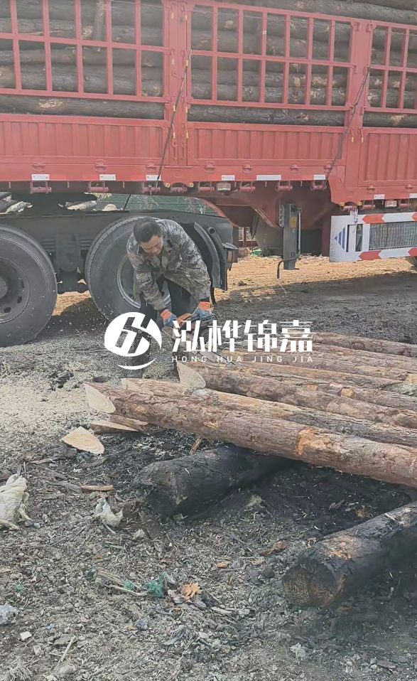 2米松木樁多少錢一根？15-20CM直徑價格是多少？
