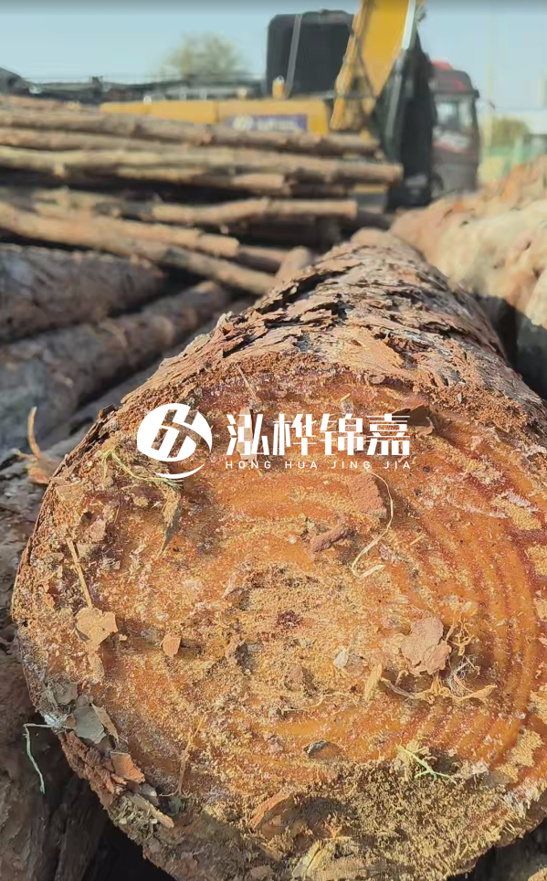 杉木樁價(jià)格多少錢一方-3米直徑14公分杉木樁價(jià)格？