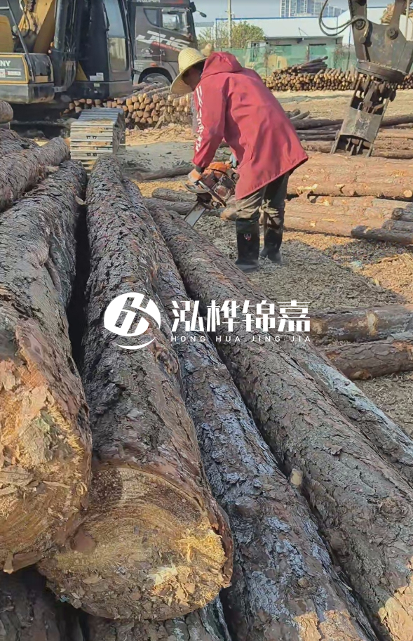 長(zhǎng)沙打樁木批發(fā)廠家在哪里？聯(lián)系方式是什么？