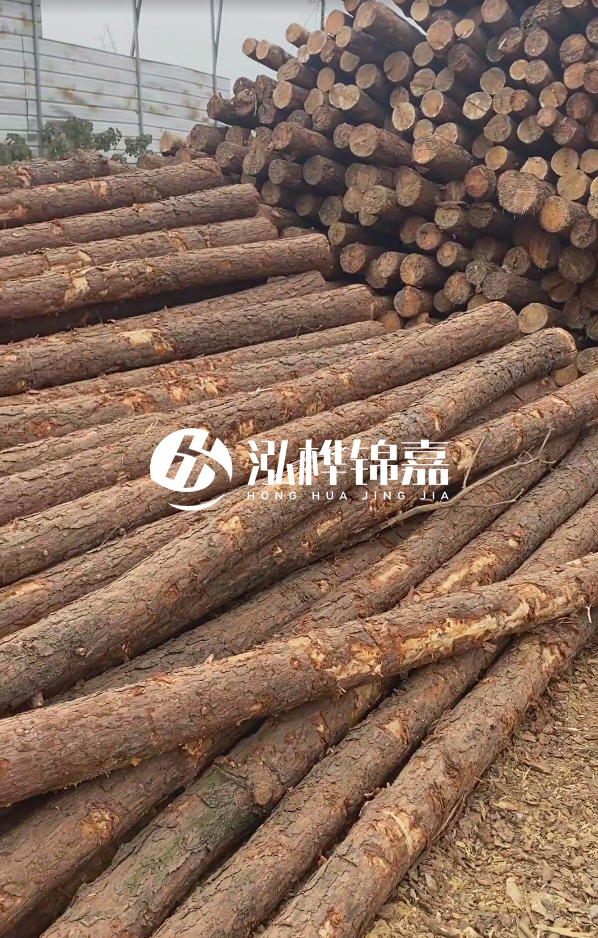 山西河道木樁護(hù)岸價(jià)格多少錢一米-每米河道打樁要花多少錢？