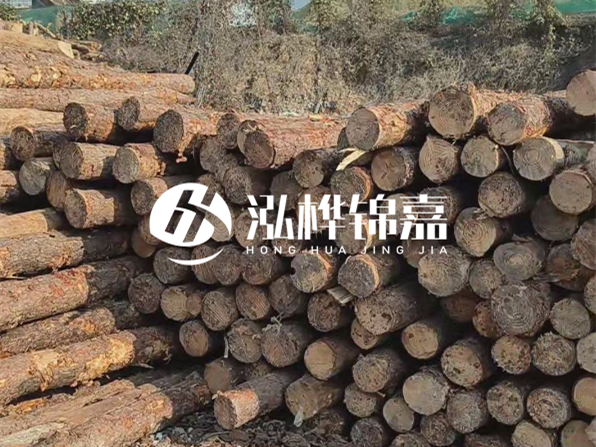 落葉松木材的主要產(chǎn)地在哪里？為什么比其他松木更耐腐蝕？