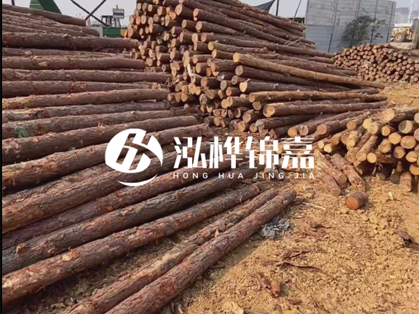 河道木樁施工遇到淤泥怎么辦？打多深才能防沖刷？