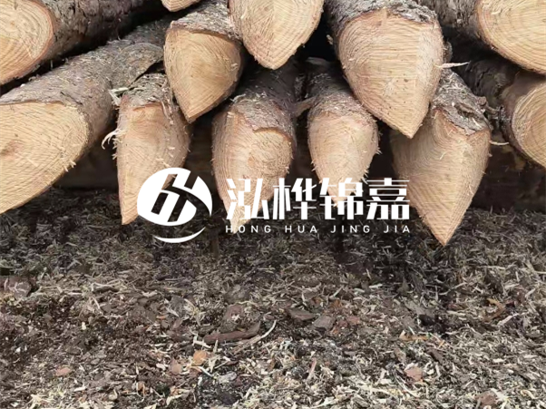 打樁木樁與鋼樁相比有哪些優(yōu)缺點？如何進行后期維護？