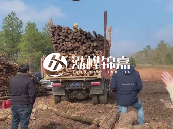 松木樁價格是按米算還是按根算？6米松木樁批發(fā)價每根多少錢？