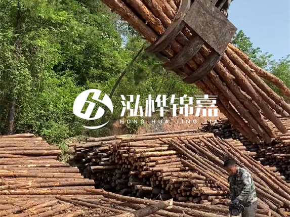哪里能買到優(yōu)質(zhì) 3 米松木樁？長沙有松木樁批發(fā)工廠嗎？