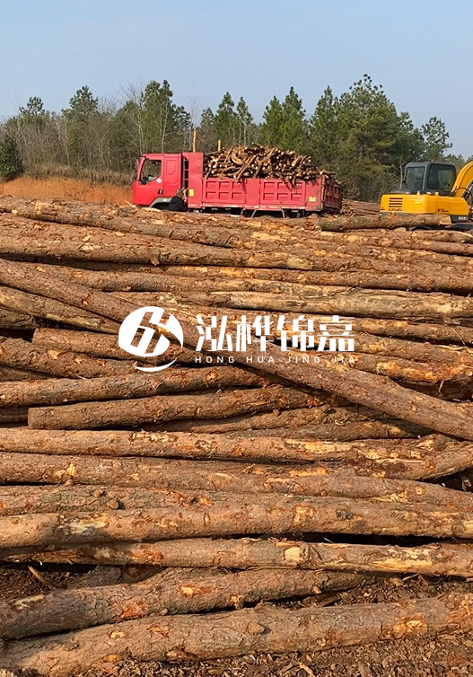 8米小頭11-13CM的松木樁價格是多少？打樁施工怎么算？