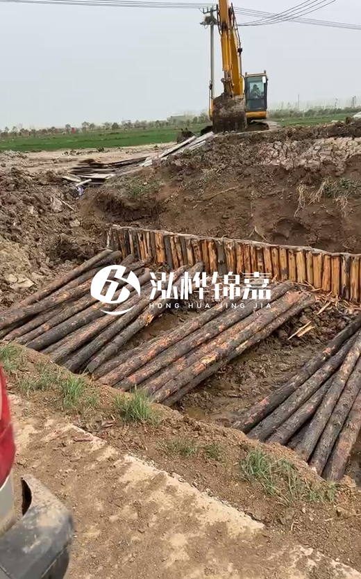 4米直徑12-13油松批發(fā)價最低多少？報價含稅含運嗎？