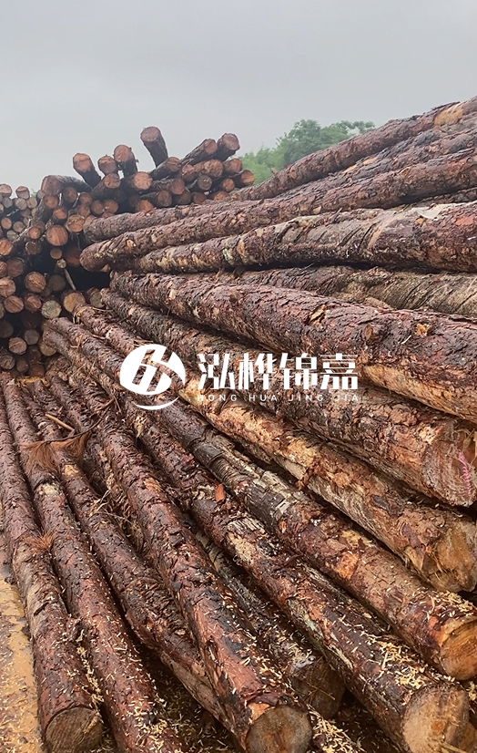 購(gòu)買松木樁注意事項(xiàng)有哪些-不同直徑松木樁區(qū)別有哪些？