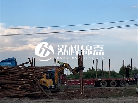 河北打樁木源頭廠家泓樺錦嘉 - 北方常用打樁木是什么？