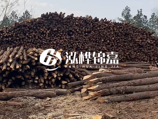 地基打木樁用什么木材 - 地基打木樁的能撐幾年？