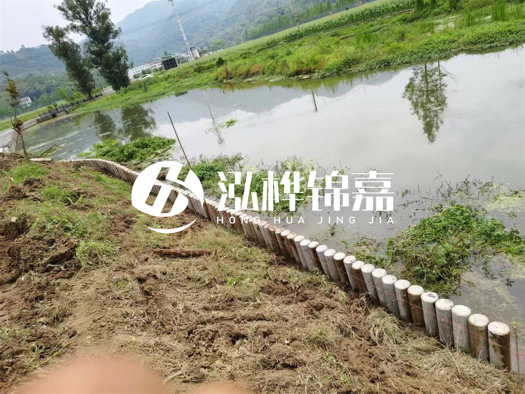 松木樁加固河道與水泥樁對比如何？哪一種更加適合您？