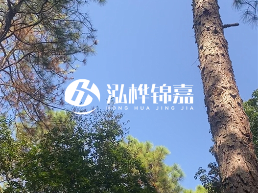 松木樁廠家泓樺錦嘉可以實(shí)地考察嗎？需要提前預(yù)約嗎？
