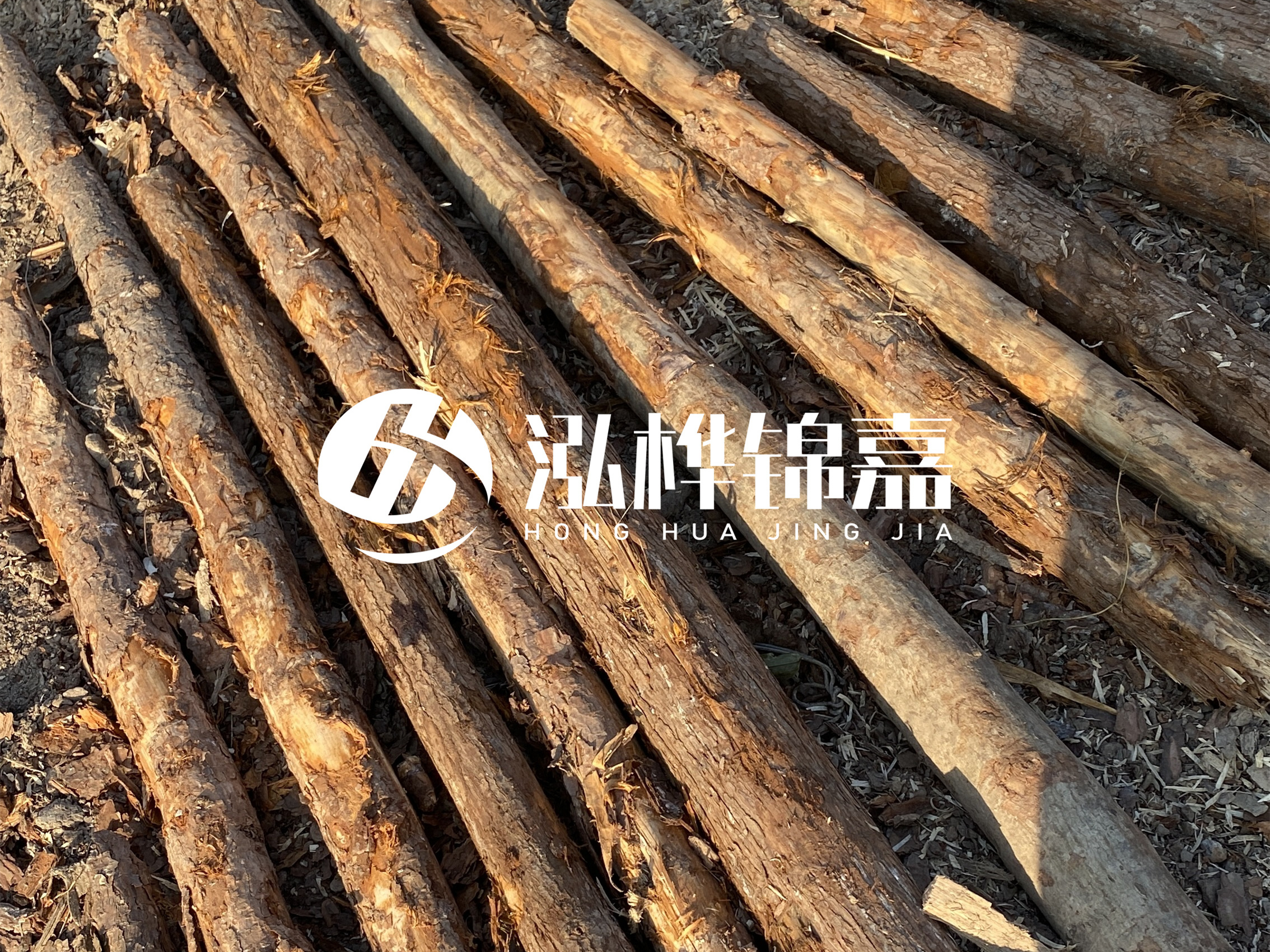 河道木樁多少錢一根？河道木樁的使用以及保養(yǎng)方法?