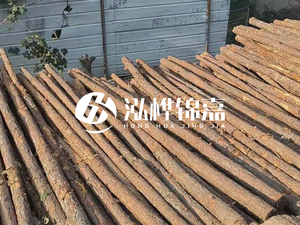 松木樁打樁后清淤怎么處理？有沒有全包的公司？