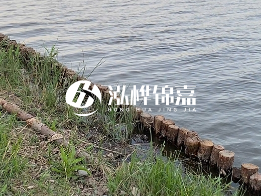 防洪松木樁施工重要性？河道打木樁的位置怎么確定？
