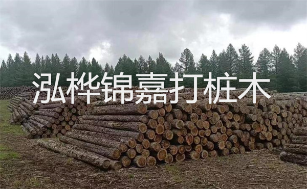 大王椰香杉木屬于什么檔次？