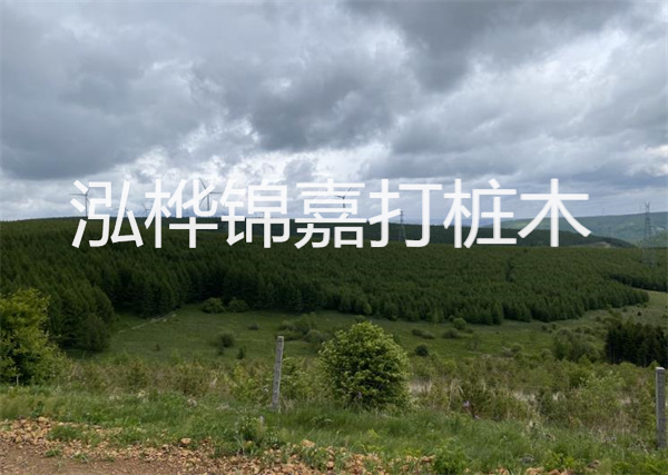 松木樁能重復(fù)施工么？