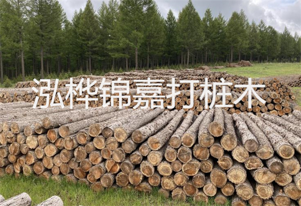 松木樁能施工嗎？探究視頻揭秘真相！