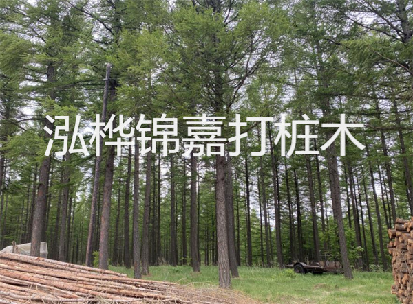 上海圍欄松木樁施工，為你打造安全舒適的園林空間