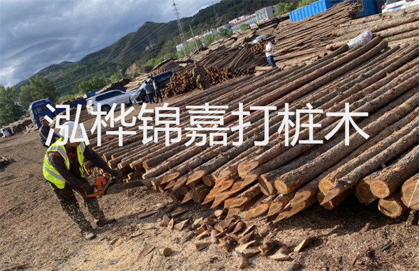 上海護岸松木樁施工，保護城市江岸美景
