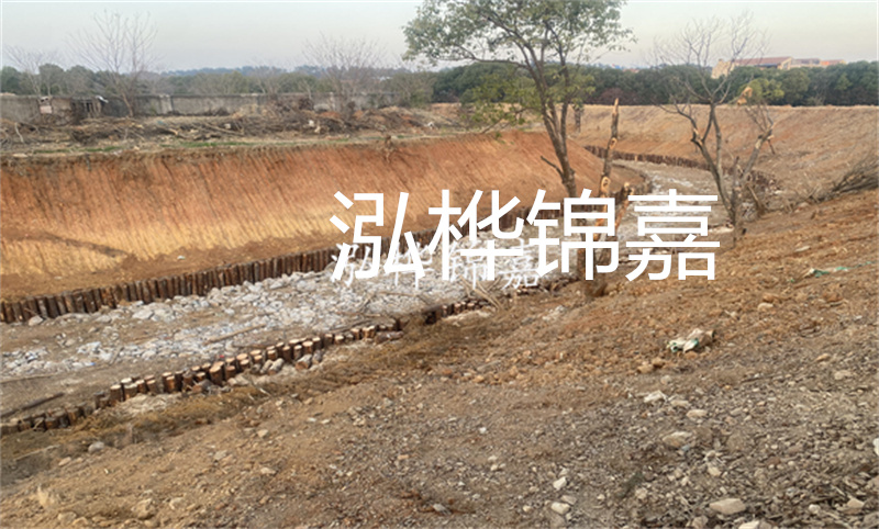 松木樁基礎(chǔ)施工電梯：提升施工效率，保護(hù)環(huán)境