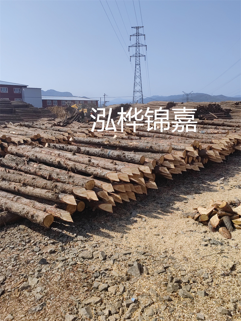 深入了解松木樁基礎(chǔ)施工單價，助力工程建設(shè)順利進行！