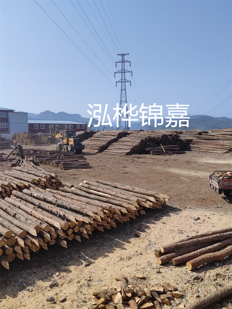 山東河道松木樁施工，保護生態(tài)環(huán)境